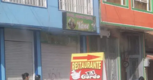 FRUTERIA HELADERIA Y CAFETERIA VANE FRUTERIA HELADERIA Y CAFETERIA VANE
